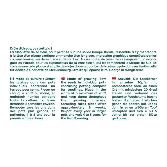 Graines OISEAU DU PARADIS