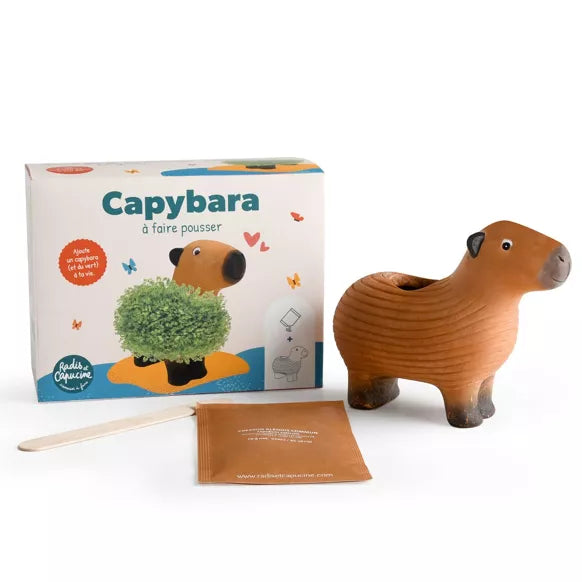 CAPYBARA à faire pousser