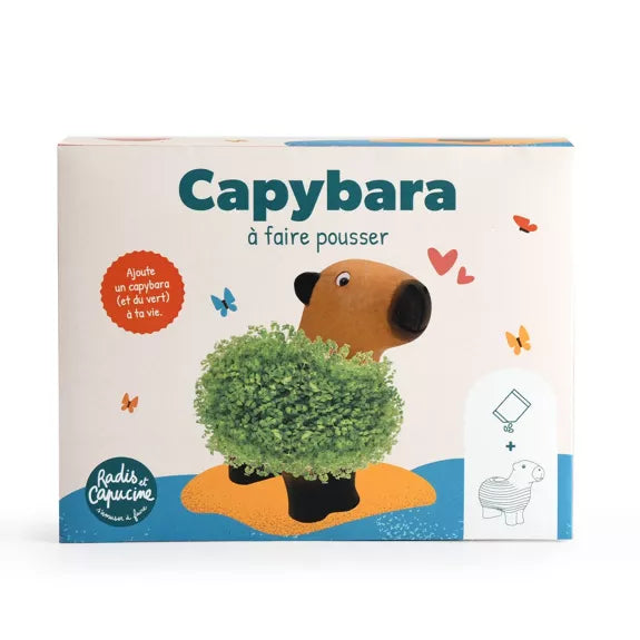 CAPYBARA à faire pousser