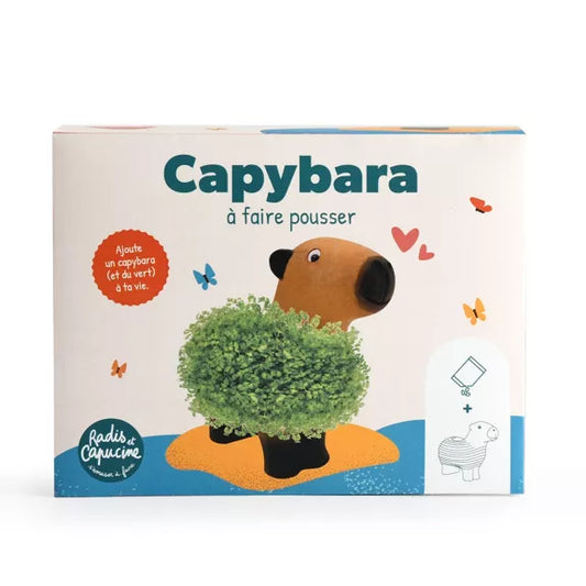 CAPYBARA à faire pousser