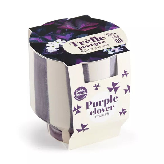 OXALYS à faire pousser