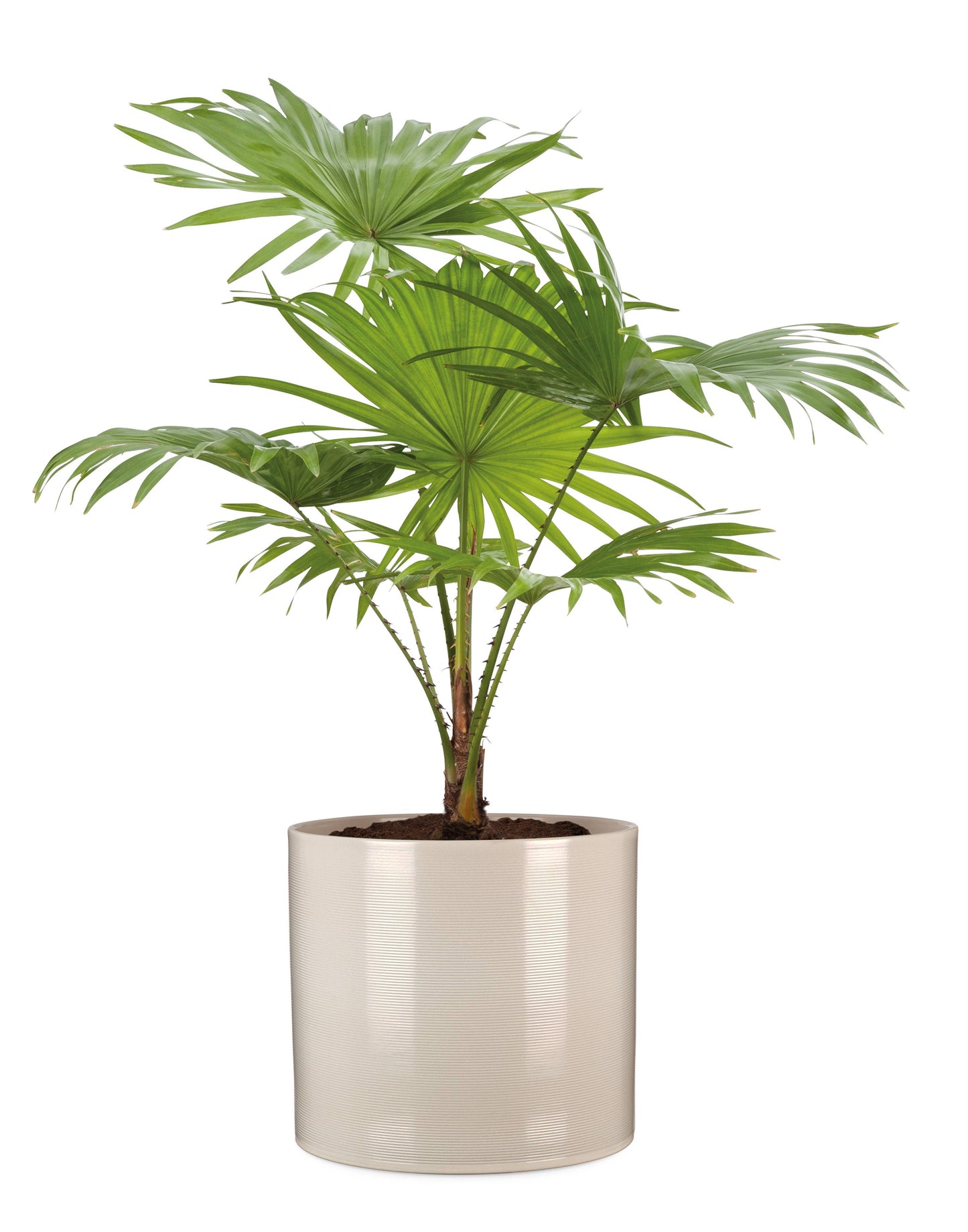 Cache-pot SESAME D14