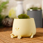 HAPPY POT - Jaune amande