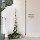 CHAINES EN LAITON pour plantes grimpantes