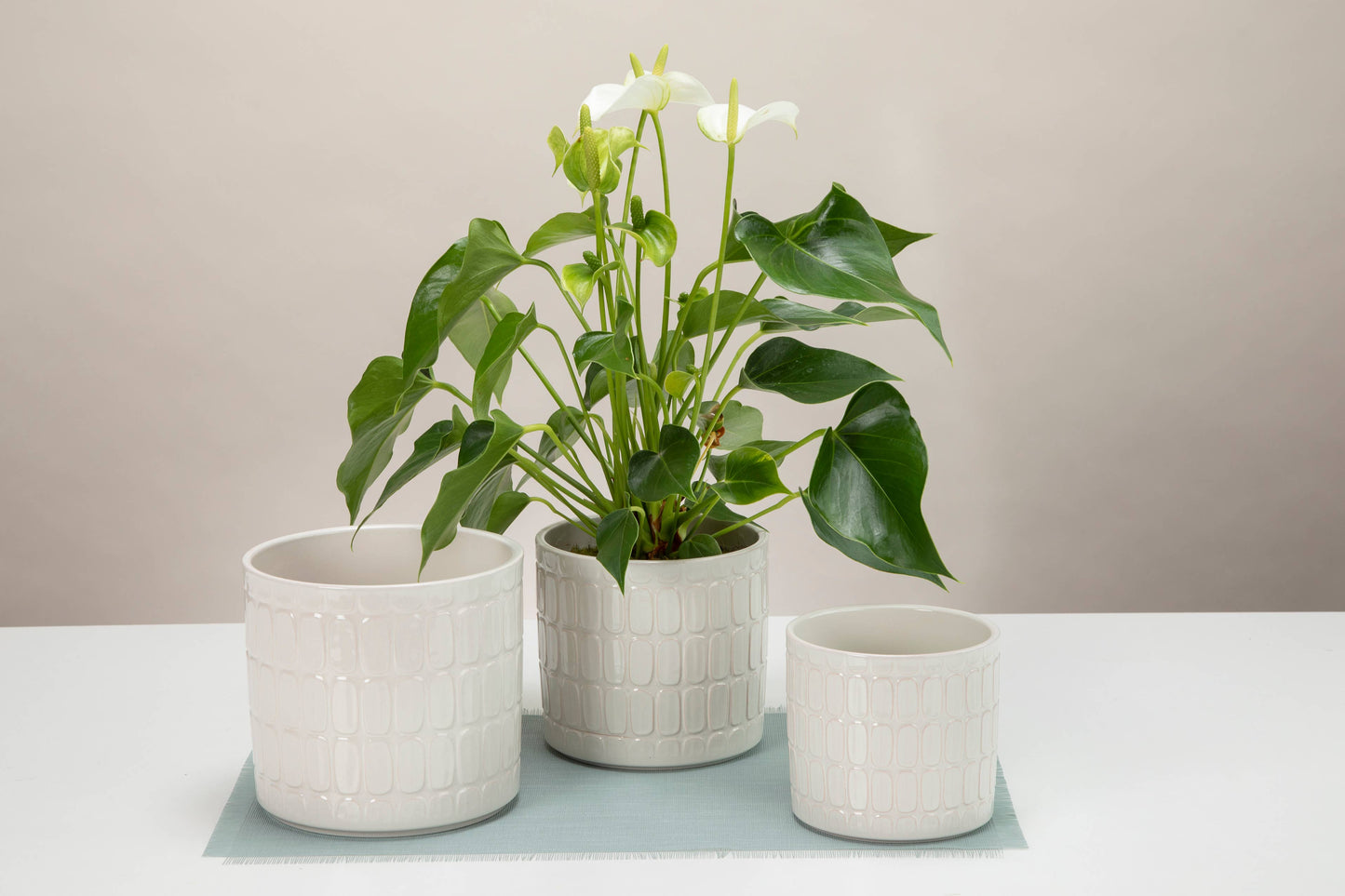 Cache pot LAGOM