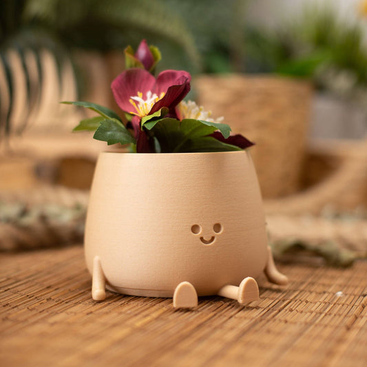 HAPPY POT-  bois