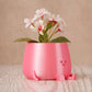 HAPPY POT - Silk Pink