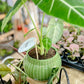 Cache pot CARUM