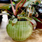Cache pot CARUM