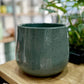 Cache-pot mouchetée DION