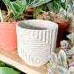 Cache-pot IVAR