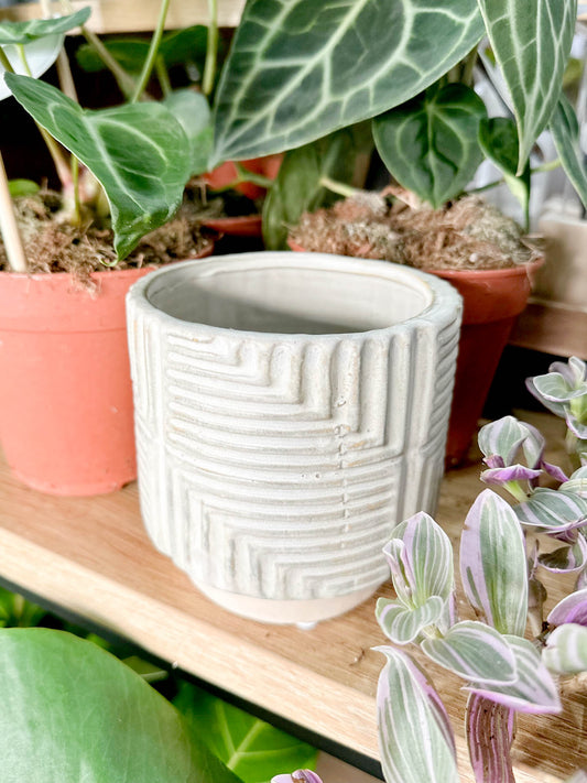 Cache-pot IVAR