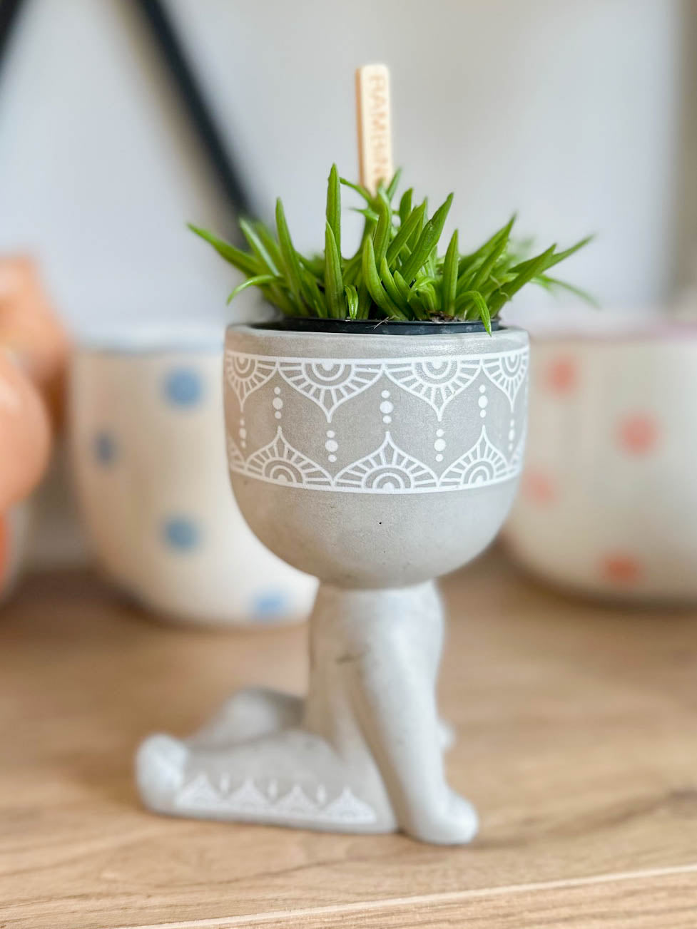 Personnage gris ASSIS