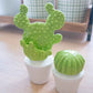 CACTUS BOULE