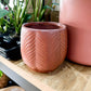 Cache-pot ROSAS