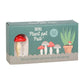 CHAMPIGNONS à planter (lot de 4)