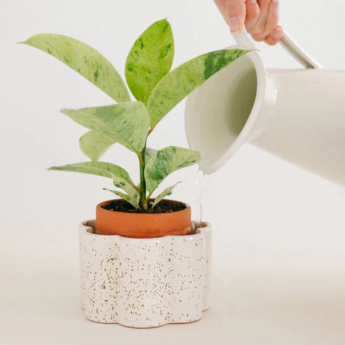 Pot autonome Paulita - Blanc grainé