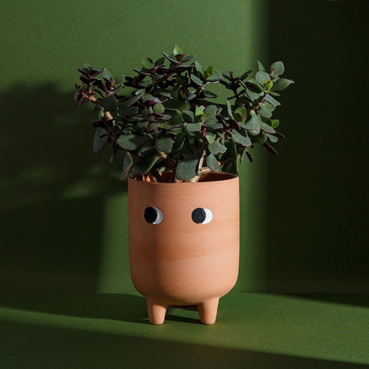 Cache-pot LEGGY grand