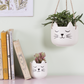 Cache-pot mini CAT
