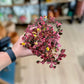 Oxalis CRAZY PLUM