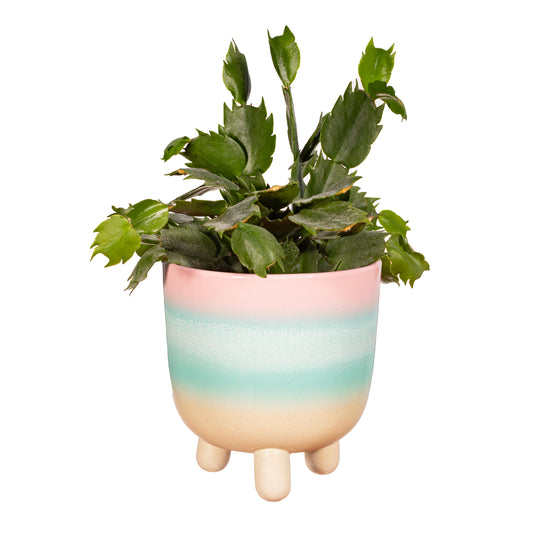 Cache-pot PASTEL PINK