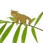 Plant animal - PANDA ROUX