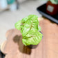 Syngonium GOLDEN