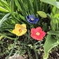 Fleurs en céramique PETUNIA