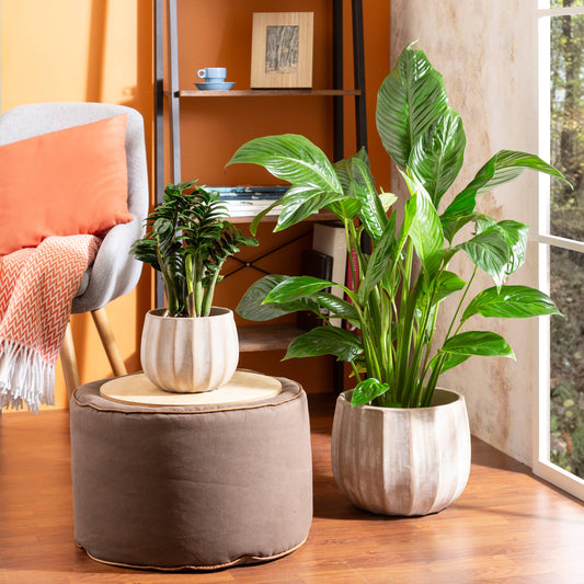 Cache pot WASHED CREAM