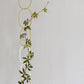 CHAINES EN LAITON pour plantes grimpantes