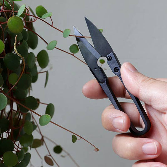 MINI CISEAU