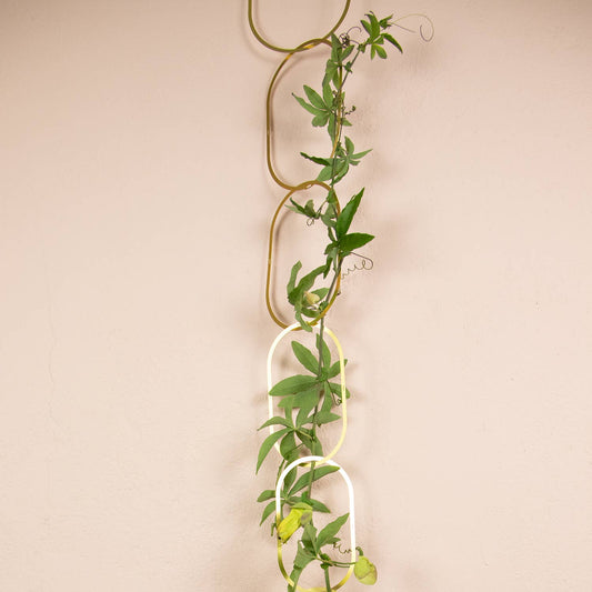 CHAINES EN LAITON pour plantes grimpantes