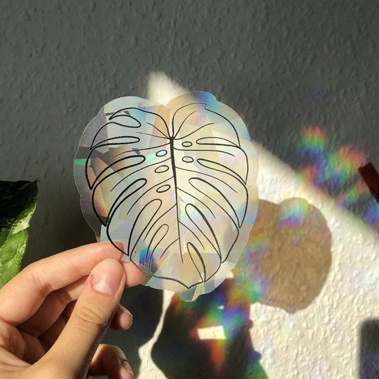 Attrape soleil - FEUILLE MONSTERA DELICIOSA
