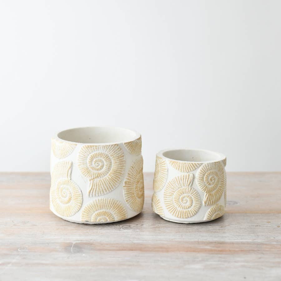 Cache pot COQUILLAGE