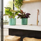 Cache-pot Elho THE OCEAN COLLECTION D.18