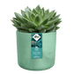 Cache-pot Elho THE OCEAN COLLECTION D.18