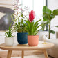 Cache-pot Elho VIBES FOLD D.22 cm