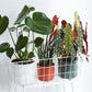 Cache-pot Elho B.FOR SOFT D.14
