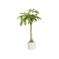 Cache-pot Elho B.FOR SOFT D.22