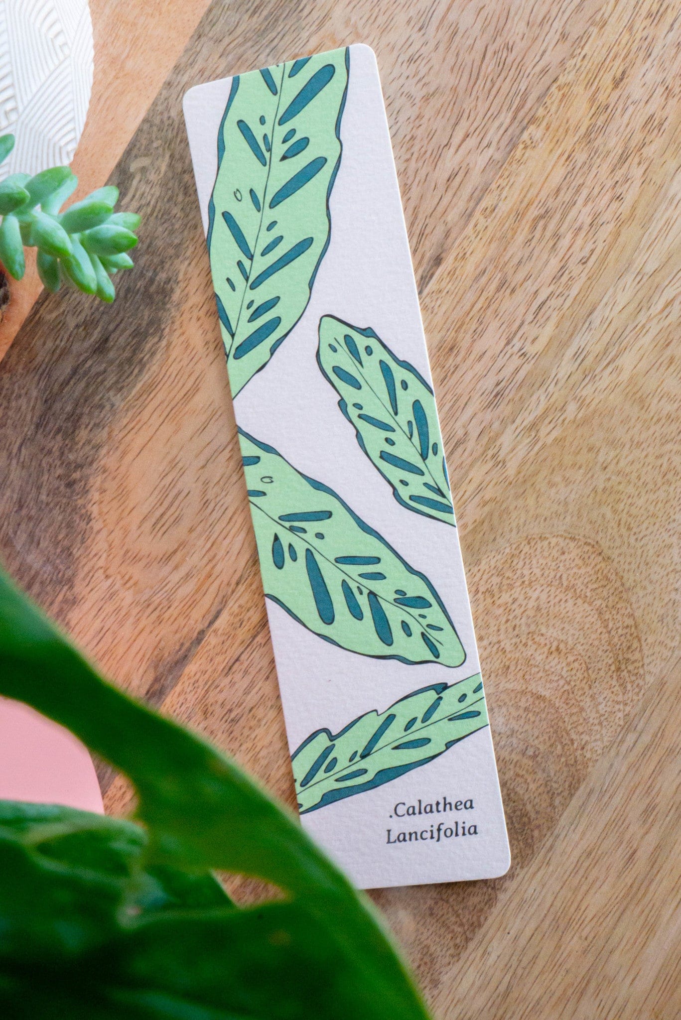 Marque-pages CALATHEA LANCIFOLIA