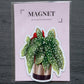 Magnet - BEGONIA MACULATA