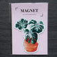Magnet - MONSTERA THAI CONSTELLATION