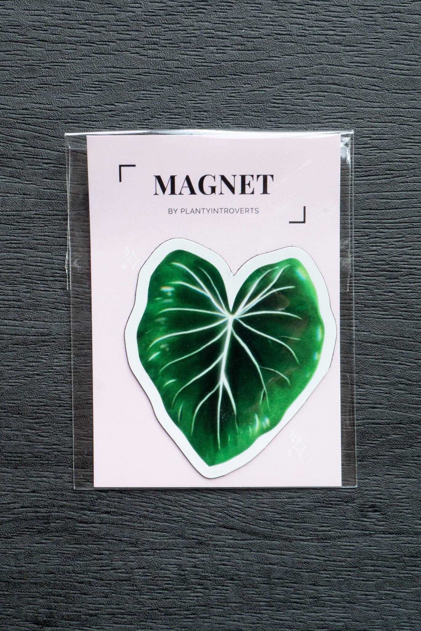 Magnet feuille - PHILODENDRON