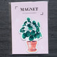 Magnet - PILEA PEPEROMIOIDES