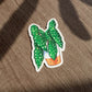 Sticker - BEGONIA MACULATA